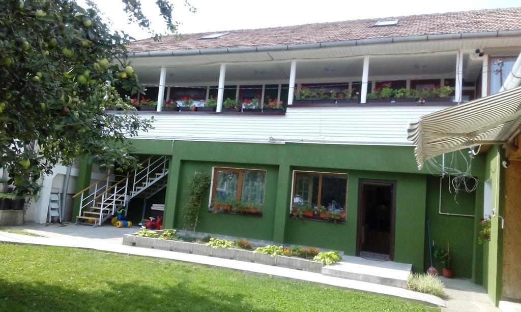 شقة كلوج-نابوكا  في Casa Pescar الغرفة الصورة